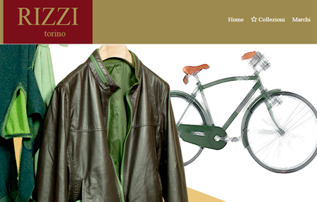 rizzi2016