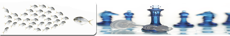 Web Marketing: Comunicazione strategica Kamiweb servizi web marketing kamiweb